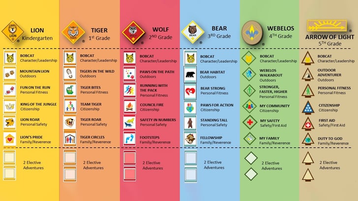 Cub Scout Program Changes: What You Need to Know for June 1