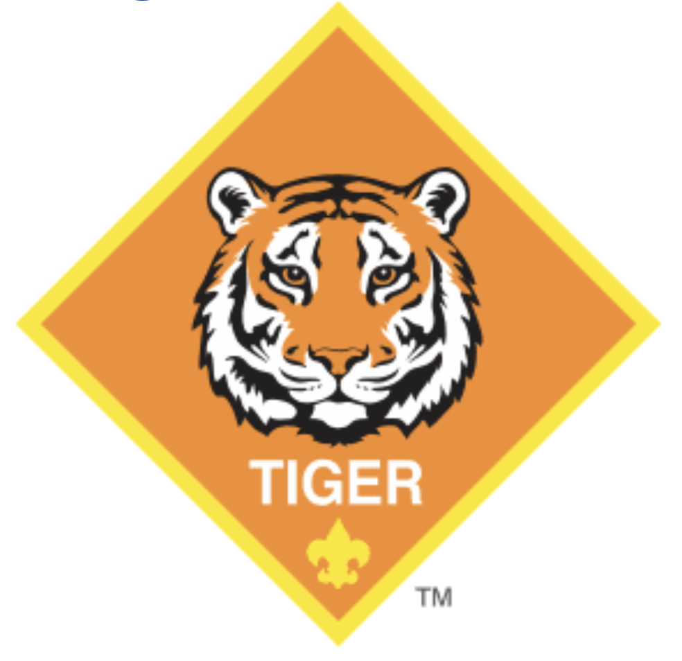Tiger Family Training Experience
