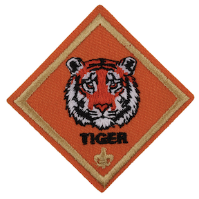 Tiger Family Training Experience