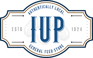 Header Logo